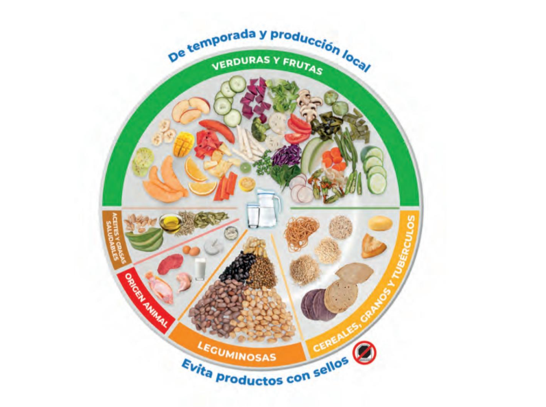 Guías Alimentarias Saludables y Sostenibles en México