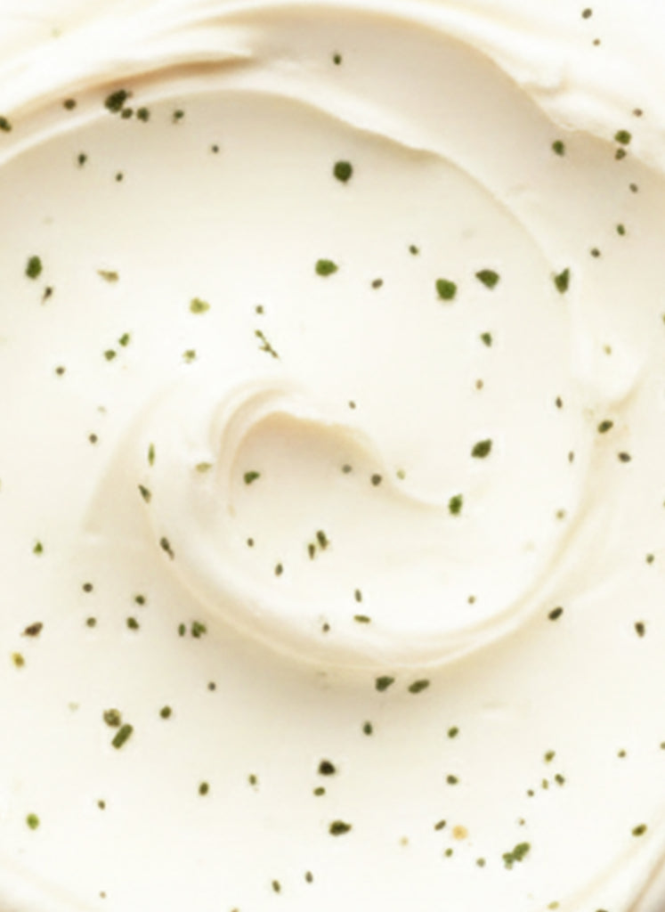 Queso Crema Vegano Sin Soya / Sin Gluten | TRUE VEGAN