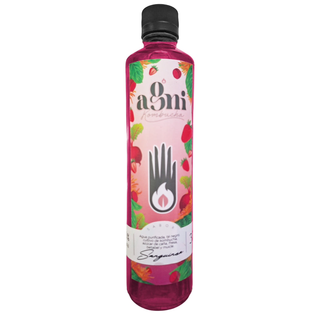 Kombucha Probiótica Fermentado Natural 350ml | Agni