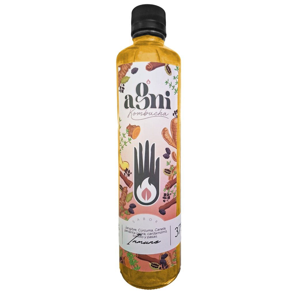 Kombucha Probiótica Fermentado Natural 350ml | Agni