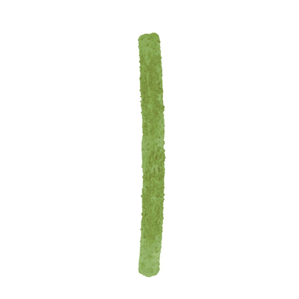 Churritos de Sabores Botana Vegana Artesanal | KANA