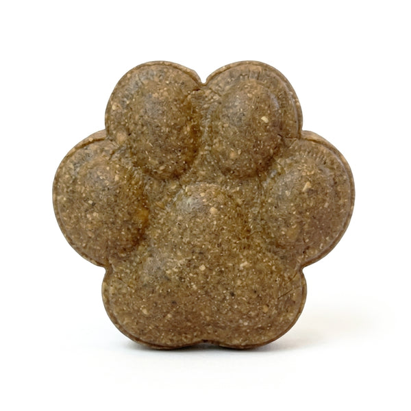 Champú sólido vegano para perro | TECHI MASCOTAS