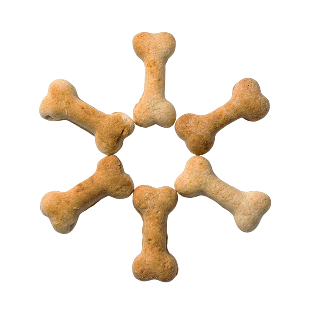 Premios Veganos Para Perro